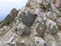 Albums/20060200-New Zealand 2006/20060201-Christchurch/48